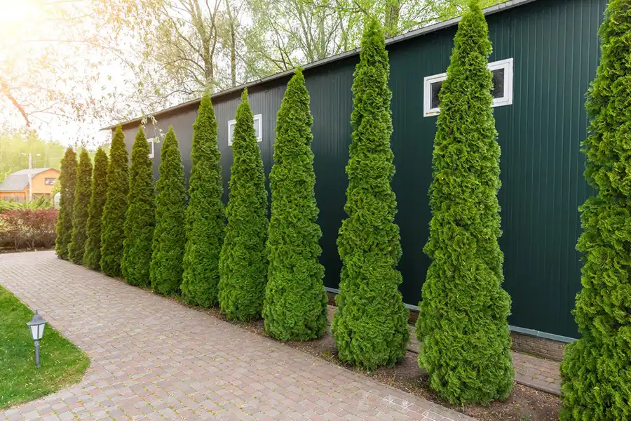 Reliable Landscaping Contractor in Southampton, NY Reliable Landscaping Contractor in Southampton, NY