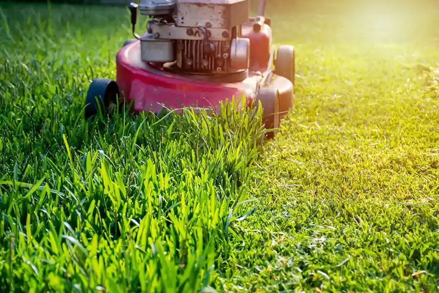 Lawn Care Service